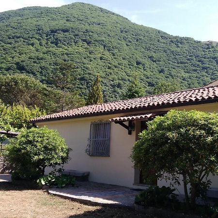 Agriturismo Collevento Trecchina Kültér fotó