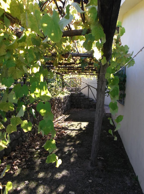Agriturismo Collevento Trecchina Kültér fotó