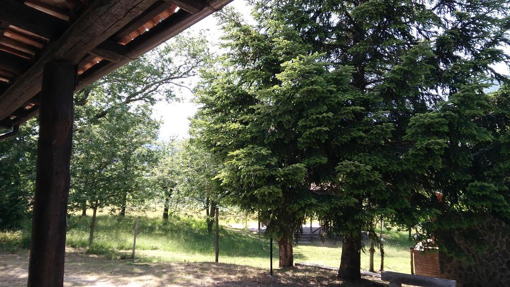Agriturismo Collevento Trecchina Kültér fotó