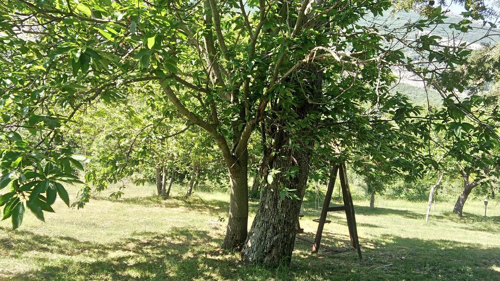 Agriturismo Collevento Trecchina Kültér fotó