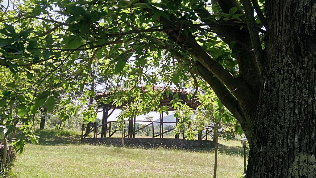 Agriturismo Collevento Trecchina Kültér fotó
