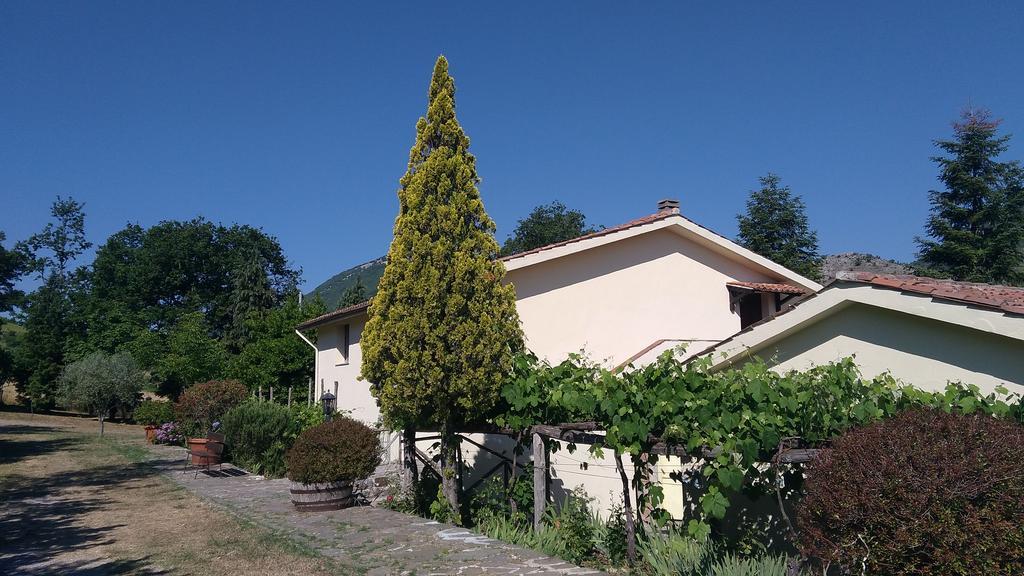 Agriturismo Collevento Trecchina Kültér fotó